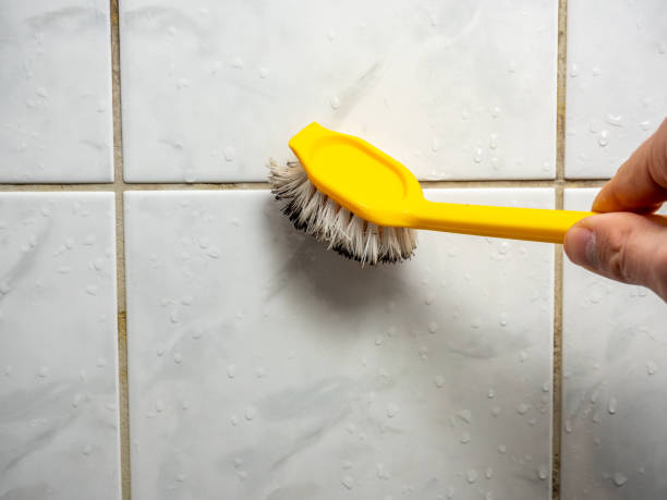 Best Mold Removal Company Near Me  in Bonners Ferry, ID