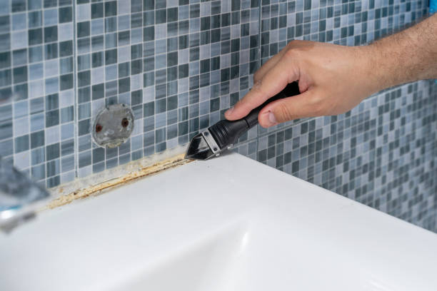 Office Mold Removal Services in Bonners Ferry, ID