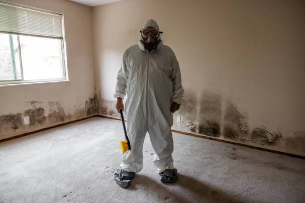 Best Professional Mold Removal  in Bonners Ferry, ID